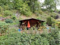 Wohnung mieten Lichtentanne klein bale024c5io8