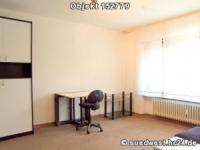 Wohnung mieten Ludwigshafen am Rhein klein qgczz7bhmsoa