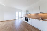 Wohnung mieten Münster (Landkreis Darmstadt-Dieburg) klein hk2mfx7w6tui
