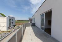 Wohnung mieten Münster (Landkreis Darmstadt-Dieburg) klein m6qyb8leom8t