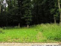 Wohnung mieten Nideggen klein gi7wm1mbb3a1