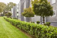 Wohnung mieten Radevormwald klein 40989qdpf609