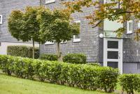 Wohnung mieten Radevormwald klein v0m10k6ss5ey