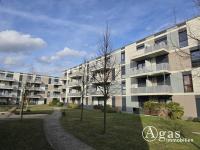 Wohnung mieten Schönefeld (Landkreis Dahme-Spreewald) klein jax2nx4ykb51