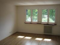 Wohnung mieten St. Blasien klein vsc9yfwdokyp