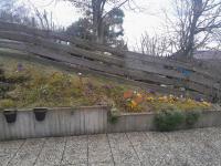 Wohnung mieten St. Johann (Landkreis Reutlingen) klein on7cs17cfehy