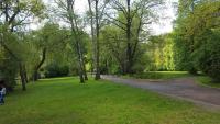 Wohnung mieten Zwickau klein 1dvn5jerm631