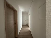 Wohnung mieten Zwickau klein 1sazht94kfsx