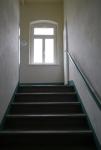 Wohnung mieten Zwickau klein bds48zzx0q6h