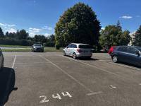 Wohnung mieten Zwickau klein nxj64ogp3usm