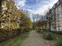 Wohnung mieten Zwickau klein pbezp8os6jkv