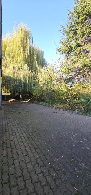 Gewerbe kaufen Aken (Elbe) max z1yu1a6p5ovz