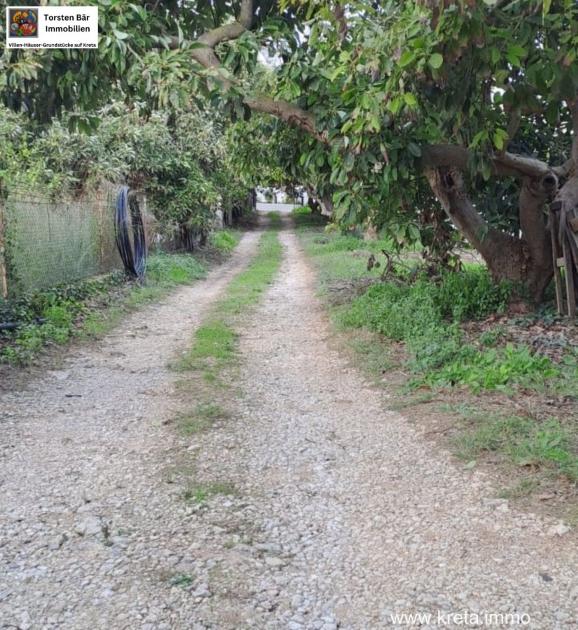 Gewerbe kaufen Armeni max s323siqhh8wn