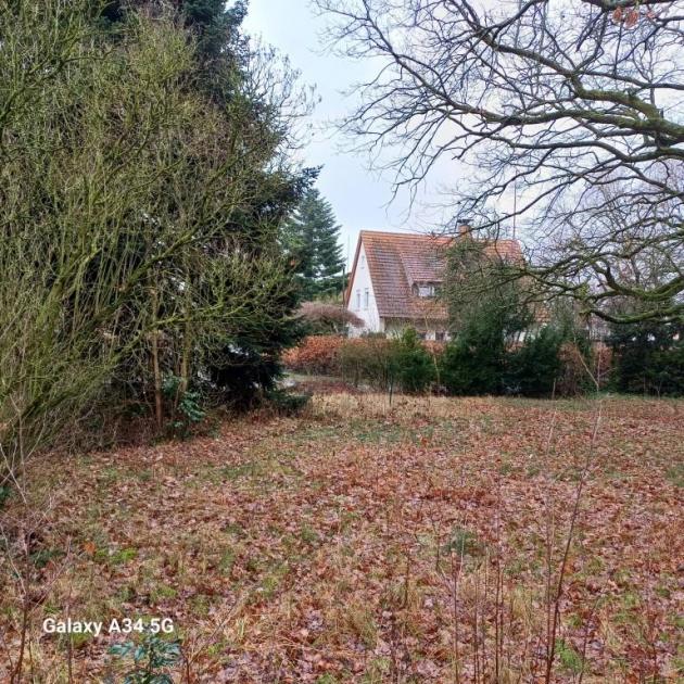 Gewerbe kaufen Bünde max g4celc5ir6at