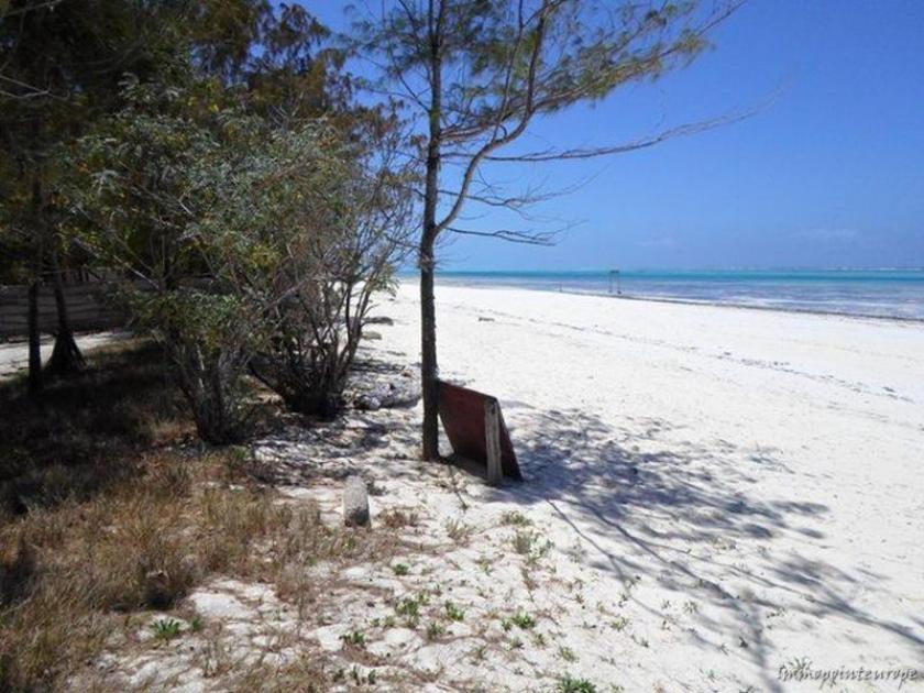 Gewerbe kaufen Dongwe max 5z0vxbljudn1