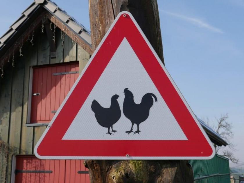 Gewerbe kaufen Fischbach bei Dahn max 0rkubf6dyxnp