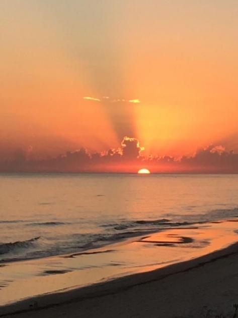 Gewerbe kaufen Jaureguiberry max hpj411uyo85e