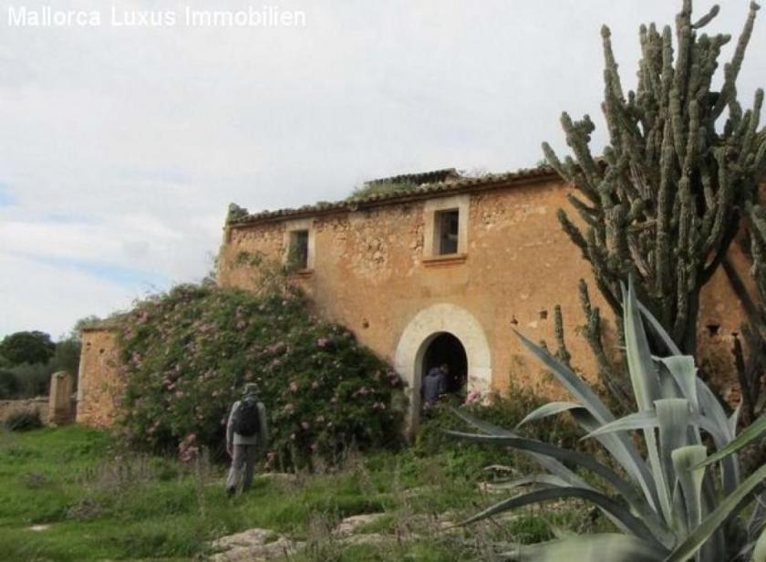 Gewerbe kaufen Llucmajor max viizv6nxzll4