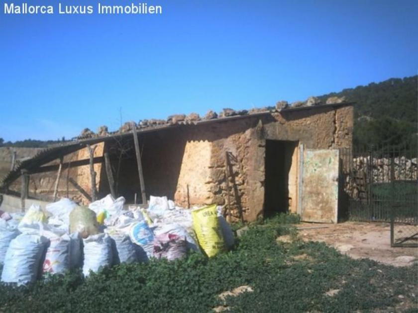 Gewerbe kaufen Santa Eugenia max ycjzt4mwtyhf