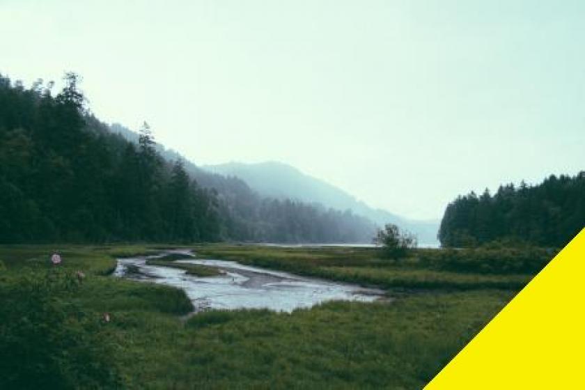 Gewerbe kaufen Villingen-Schwenningen max u4kzd56wbf23