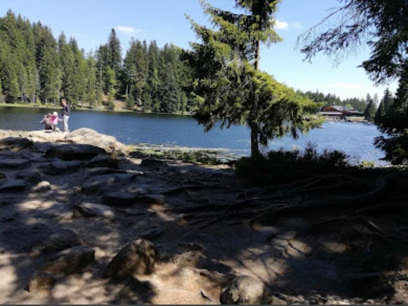 Gewerbe mieten Bayerisch Eisenstein max zhv0cz5g4226