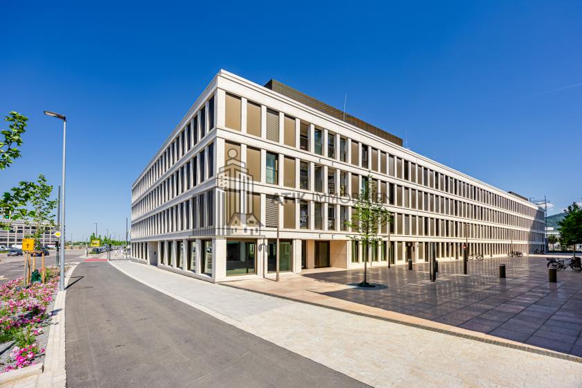 Gewerbe mieten Heidelberg max 8unx9sa1q0i7