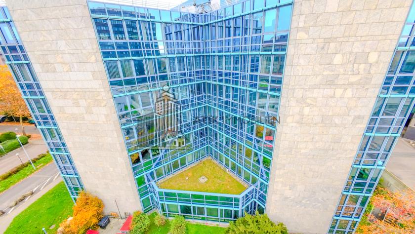 Gewerbe mieten Mannheim max 4szidayxvjkl