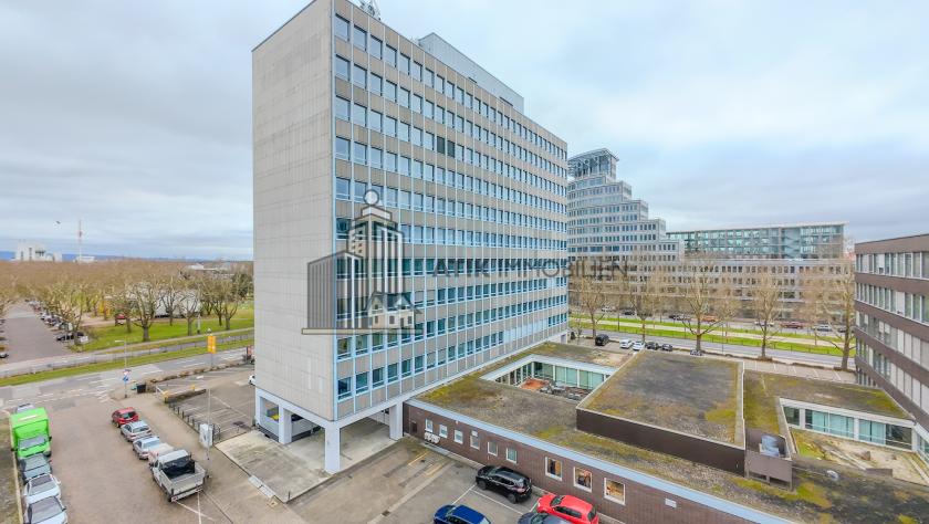 Gewerbe mieten Mannheim max n1scgoh0mmkm