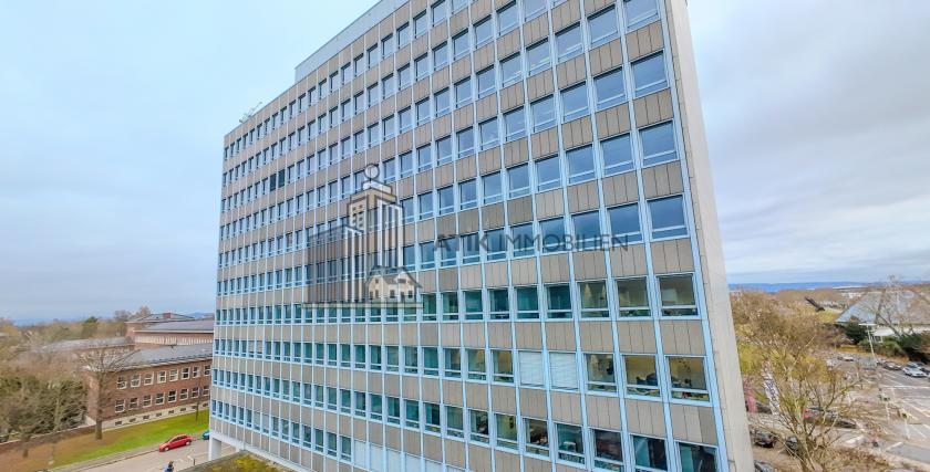 Gewerbe mieten Mannheim max t9gec7ba20lv