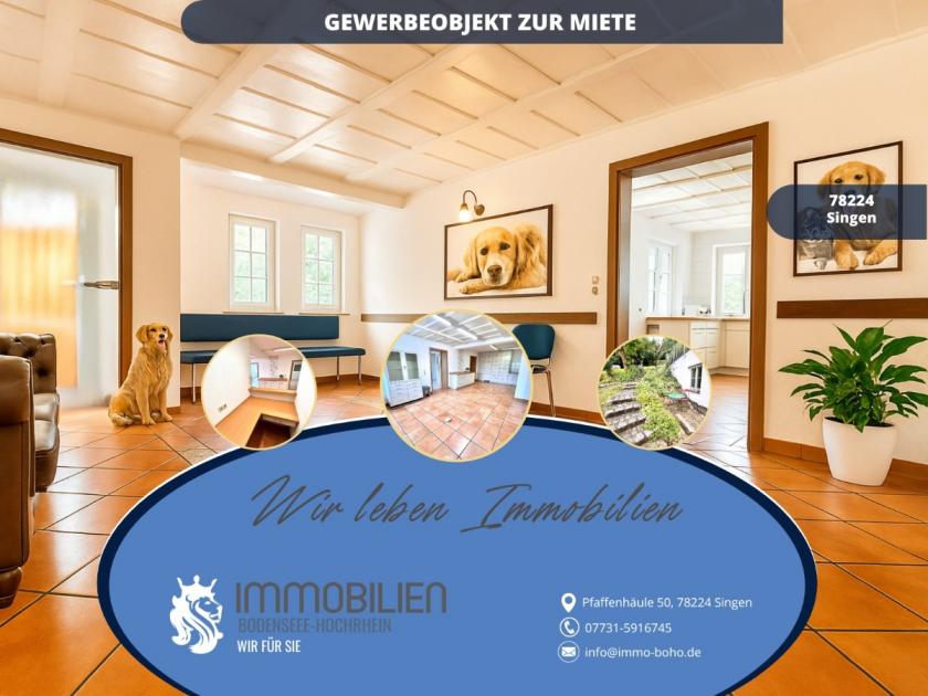 Gewerbe mieten Singen (Hohentwiel) max oh5sfv2f6asy