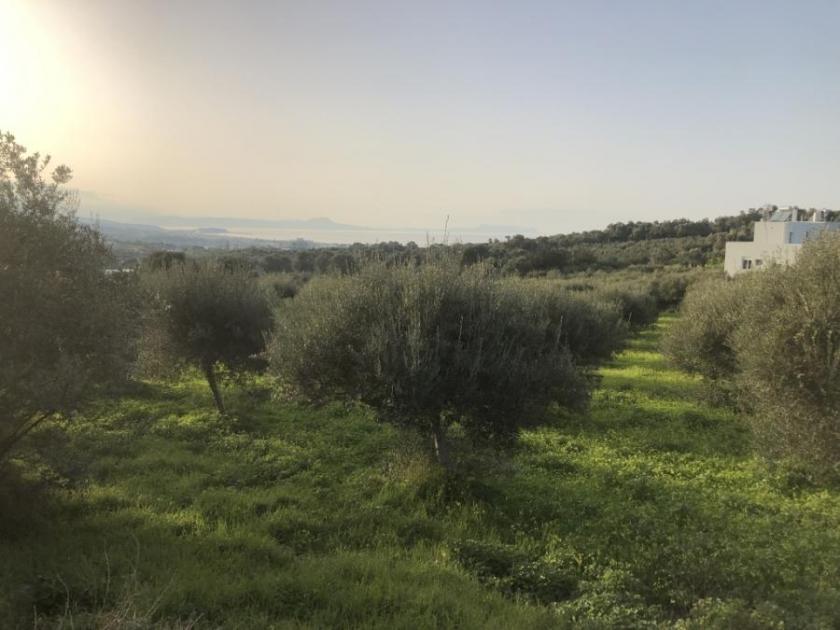 Grundstück kaufen Adelebsen max bxu8j0u9hm2i