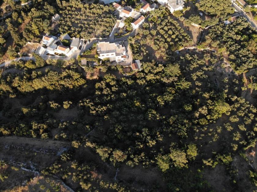 Grundstück kaufen Ag. Pavlos bei Gavalochori max tkv3y5xvl7am