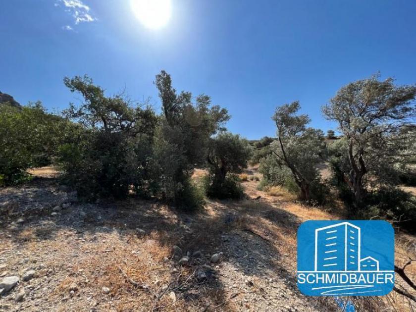 Grundstück kaufen Agia Galini max k7qrg3ahlrhk