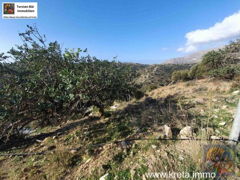 Grundstück kaufen Agia Galini max qnplhycmf76h