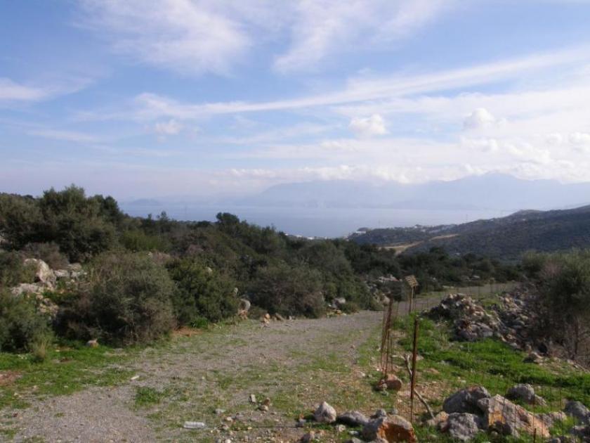 Grundstück kaufen Agios Nikolaos, Lasithi, Kreta max 33gickmfxebt