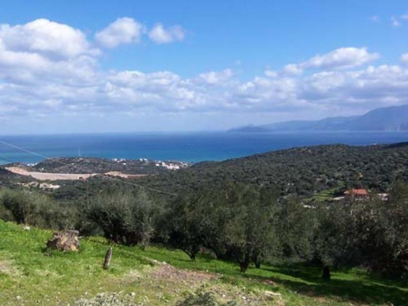 Grundstück kaufen Agios Nikolaos, Lasithi, Kreta max f81pt6jl7ins