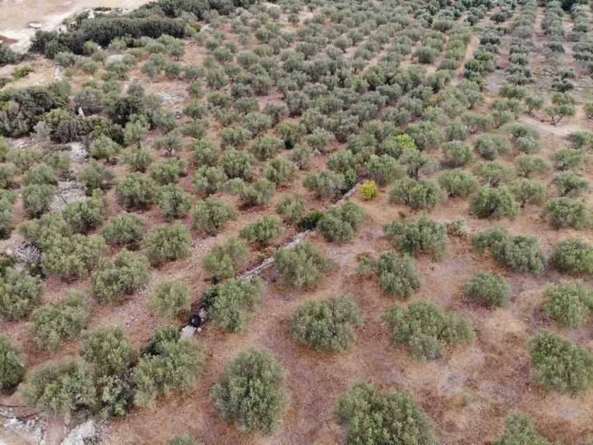 Grundstück kaufen Agios Vasilis max wuvtp1cu7bra