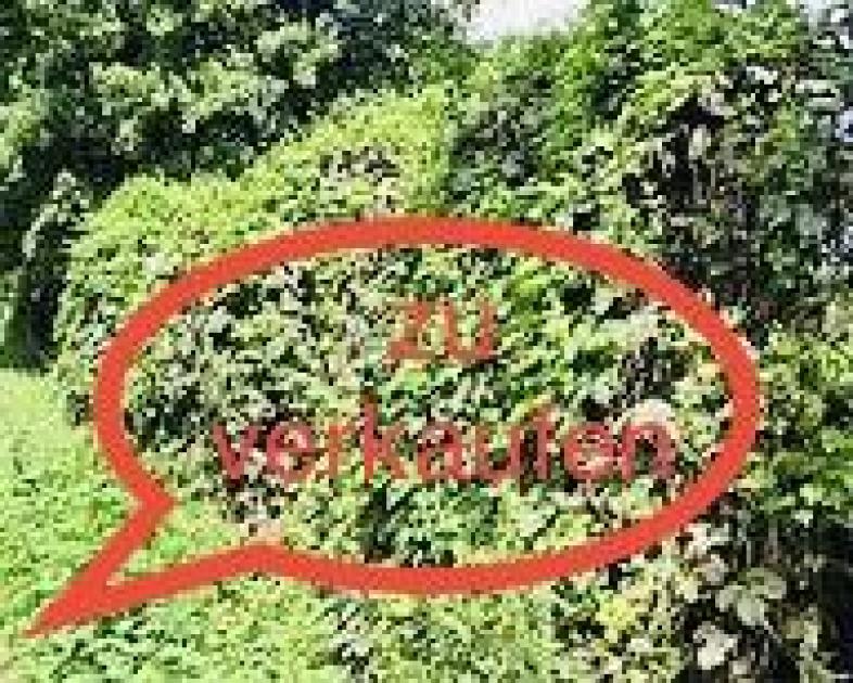 Grundstück kaufen Alfeld (Leine) max i50j2ys9emlp