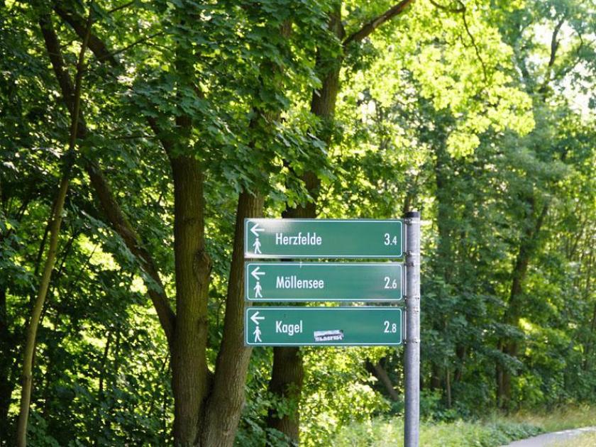 Grundstück kaufen Altlandsberg max xa4ecibgvrnf