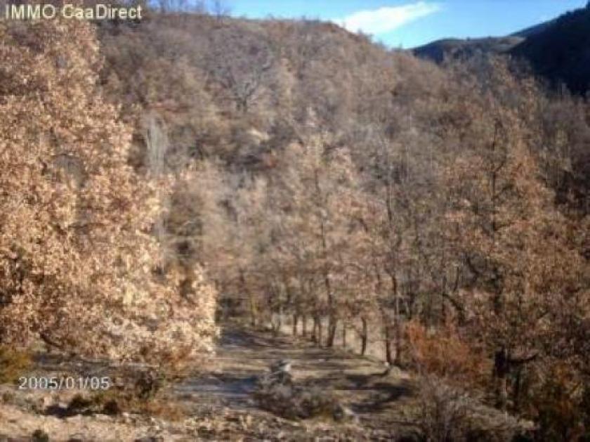 Grundstück kaufen Aren max fdbic97w6x0l