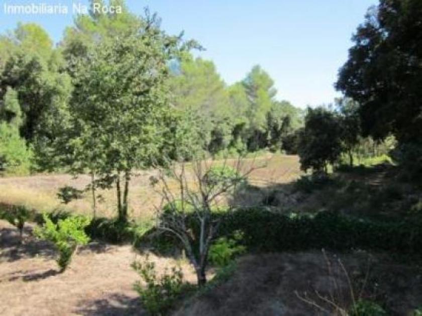 Grundstück kaufen Arta max kktzic2kvf6e