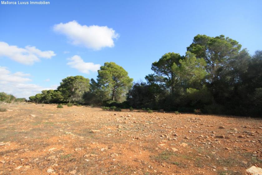 Grundstück kaufen Bad Klosterlausnitz max lwyo6bsc4hm6