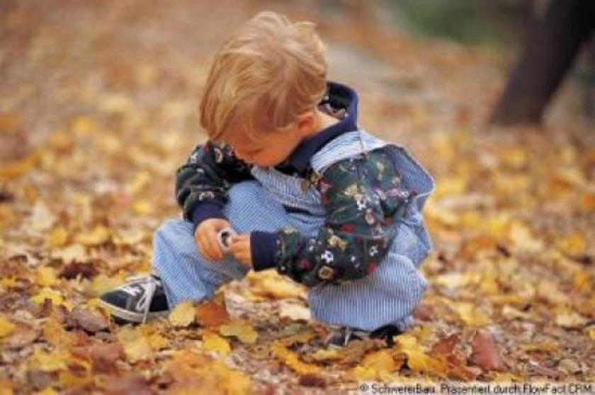 Grundstück kaufen Birkweiler max vxf4ghqxieo2