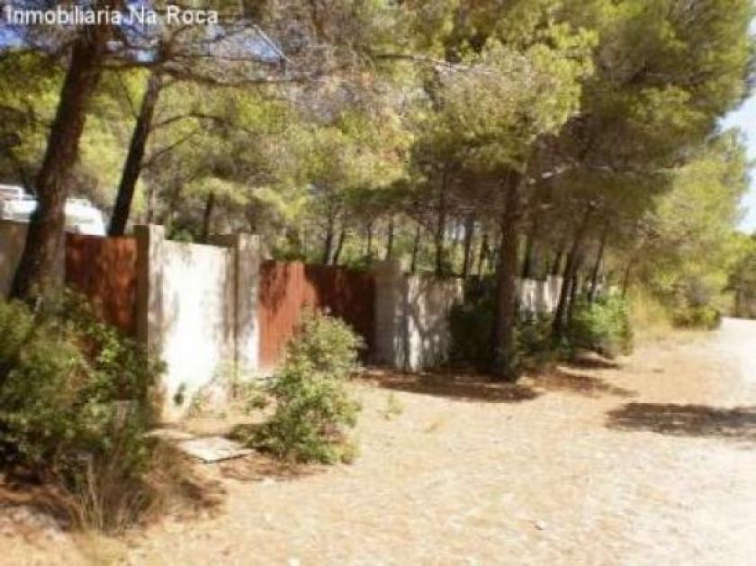 Grundstück kaufen Cala Ratjada / Cala Gat max qwym7hxe1q3u