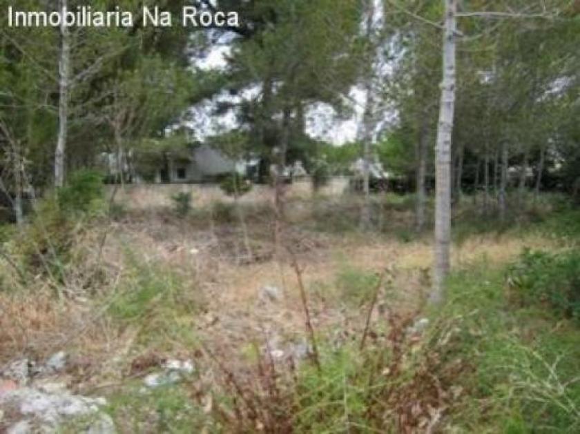 Grundstück kaufen Cala Ratjada max 8t13leys83db