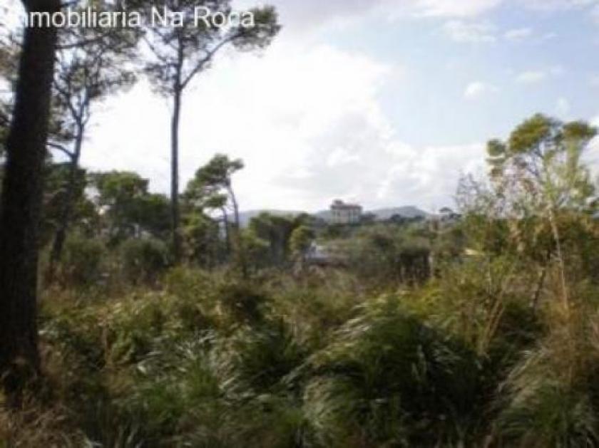 Grundstück kaufen Cala Ratjada max yymw3dz9kfi8