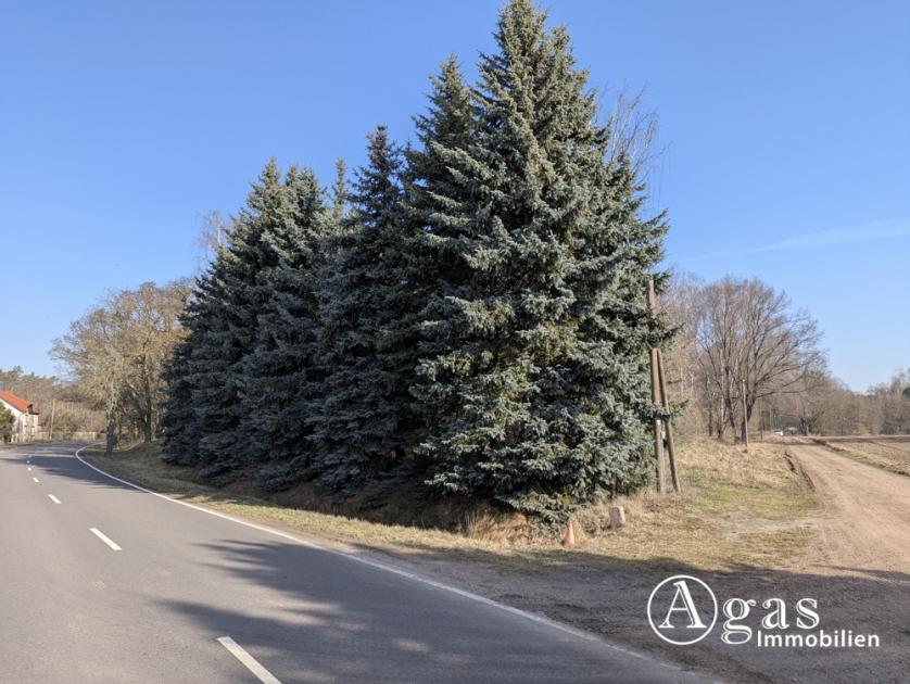 Grundstück kaufen Coswig max rtwi1th06usj