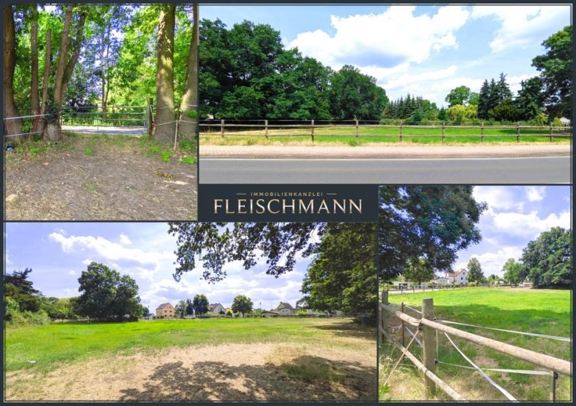 Grundstück kaufen Doberschütz max cpbgzsfssw1x