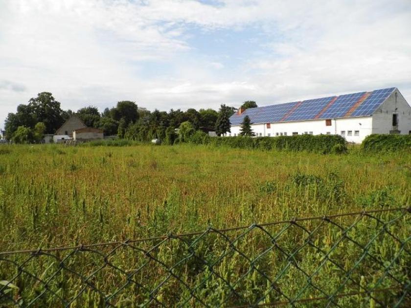 Grundstück kaufen Ducherow max kyyel649pc1m