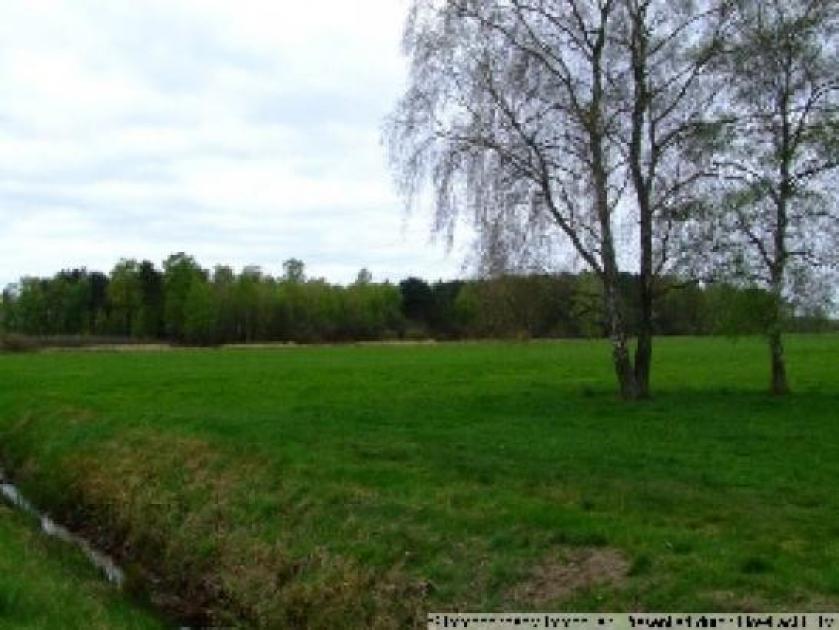 Grundstück kaufen Ehra-Lessien max hp1ccqnzp3d6